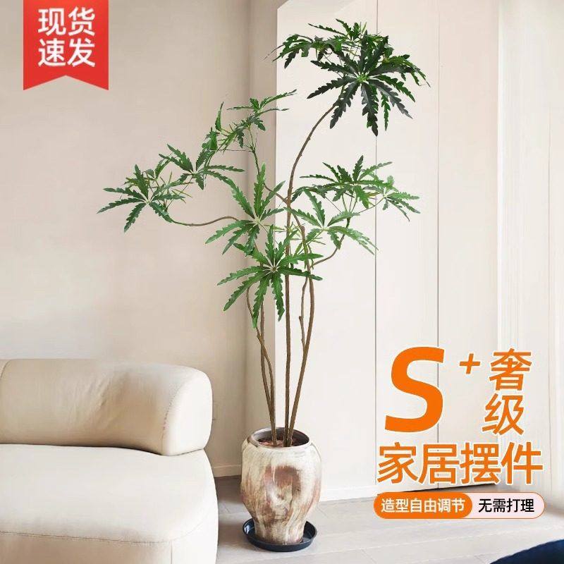 孔雀木仿真植物室内落地大型盆栽级仿生绿植假树装饰摆件假禄植,鲜花速递/花卉仿真/绿植园艺,商务用花,淘宝优惠券,粉丝福利购,淘宝优惠卷
