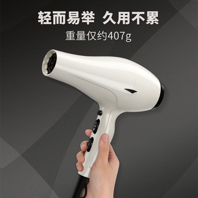 火之凤6600H电吹风家用大功率理