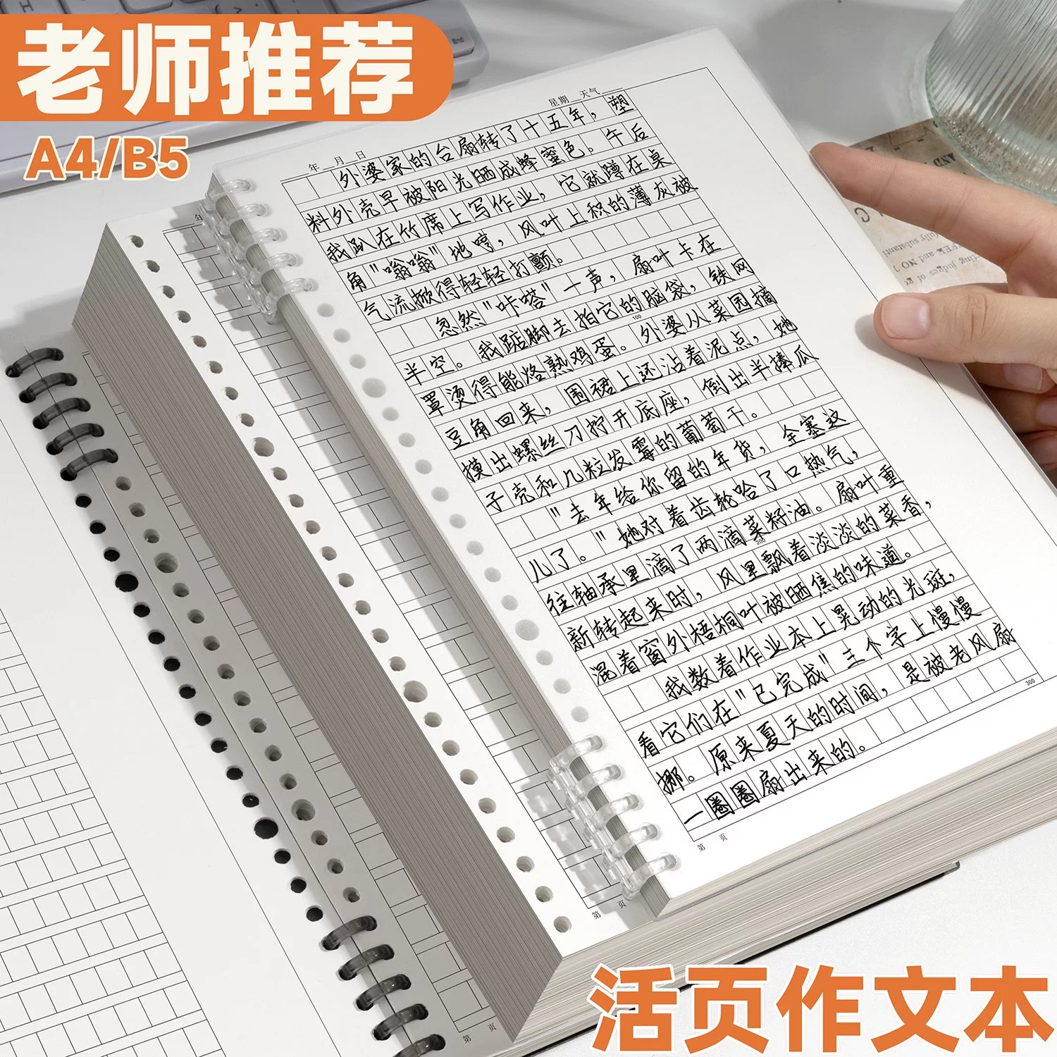 A4/B5活页横线作文本可拆卸