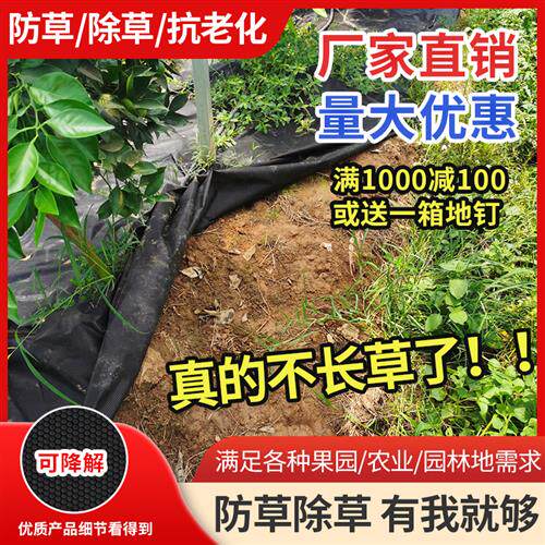 生态防草布除草布农用果园槟榔地膜盖草地布厂家直销加厚保湿