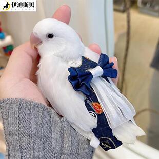 鹦鹉专用衣服牡丹纸尿裤玄凤虎皮鸟用防水尿不湿粪便屎兜新年款飞