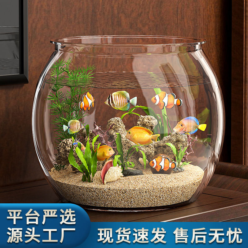 严选鱼缸桌面透金鱼缸客厅水培生态缸加厚防摔斗鱼缸造景乌龟缸