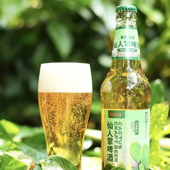 云南特产仙人掌啤酒8度黄啤产地直发玻璃瓶女士啤酒新款清爽低度