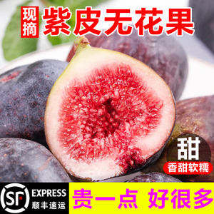 【顺丰次日达】甜紫皮无花果9斤