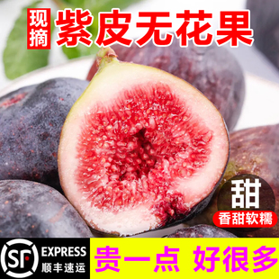 【顺丰冷鲜】云南紫皮无花果9斤新鲜水果香甜糯当季青红皮特级果