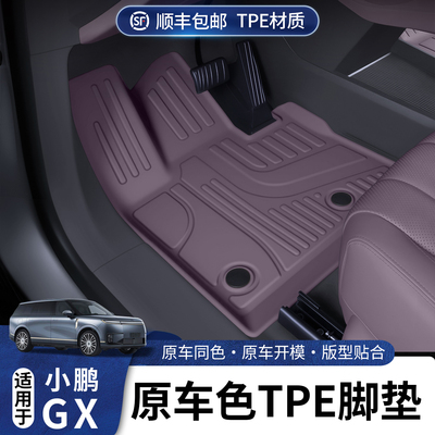 适用于小鹏GX原车色TPE半包脚垫