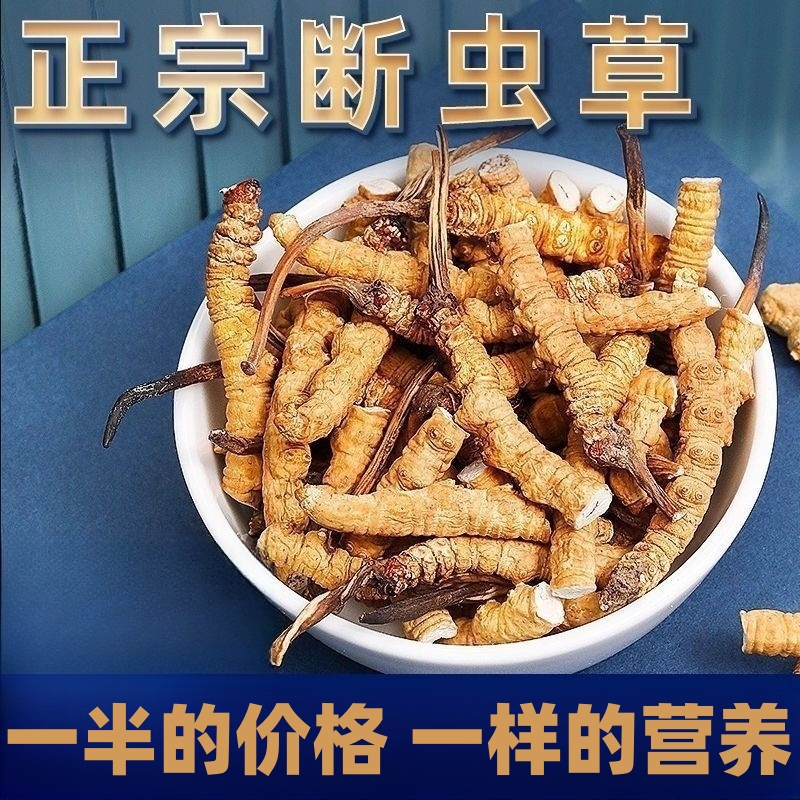冬虫夏草正品野生断草虫草旗舰店新鲜干货自用实惠泡酒非西藏那曲
