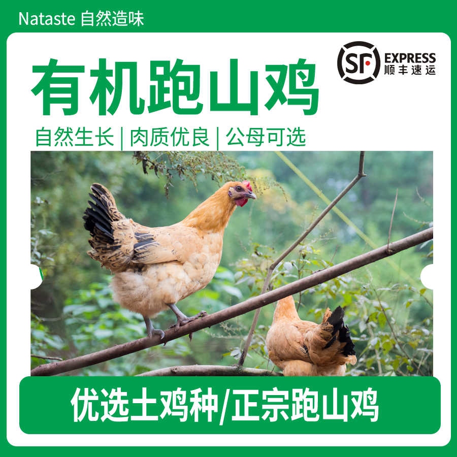 有机跑山鸡肉3斤|天然放养味道浓香土鸡笨鸡公鸡老母鸡生鸡肉