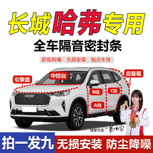 哈佛h6专用全系BC柱密封胶条