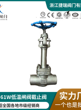 DZ61W-16P25C40RL焊接加高阀杆低温闸阀DJ61W焊接不锈钢截止阀