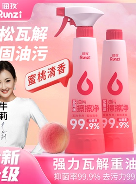 润孜多用途油污擦擦净厨房重油污清洁剂强力去污升级款去油污神器