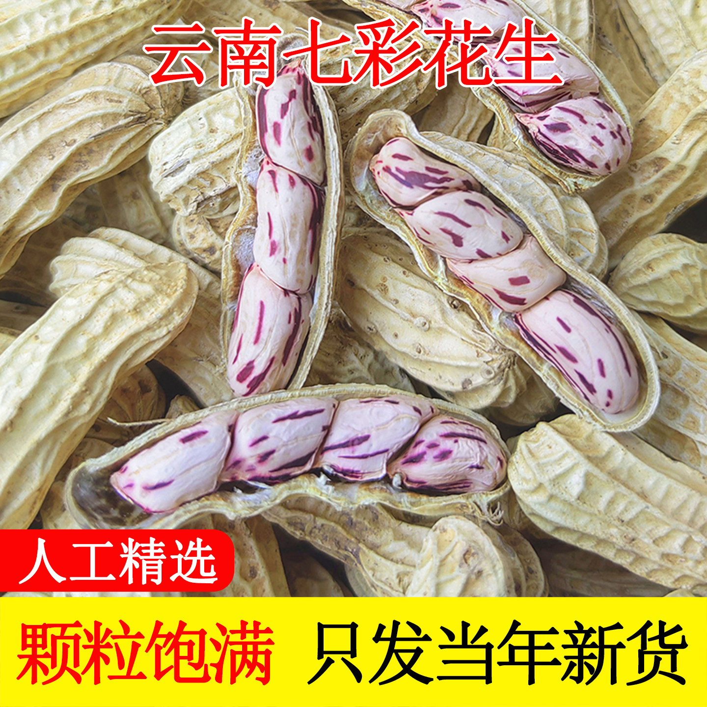2025新货七彩花生云南普洱七彩晒干五彩花生生带壳熟花生零食,零食/坚果/特产,花生,淘宝优惠券,粉丝福利购,淘宝优惠卷