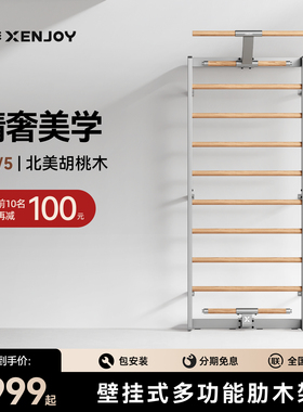 绝影XW5肋木架家用健身器材壁挂式多功能训练引体向上康复拉伸架