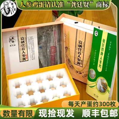 湖北恩施特色营养人参鸡蛋龚廷贤非遗名贵中药材喂养食疗高端佳品