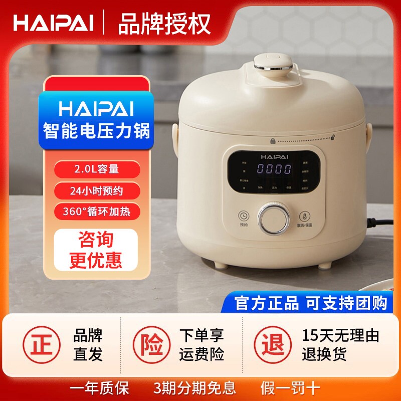 德国2024新款电压力锅家用小型小饭煲2人多功能新型电高压锅电