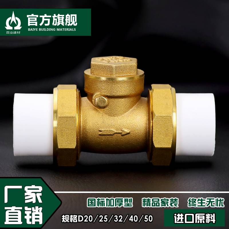 全铜4分20ppr双活接止回阀6分单向逆止阀卧式自来水热熔水表阀门