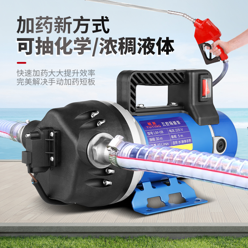 220V加药泵1寸管抽水加油