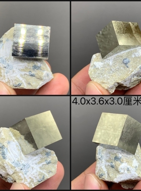 天然西班牙立方体黄铁矿 矿物晶体矿石原石标本礼物收藏品摆件