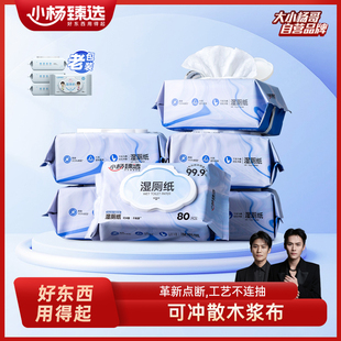 小杨臻选湿厕纸4大包家庭装 男女私处专用温和清洁厕所擦屁股湿巾
