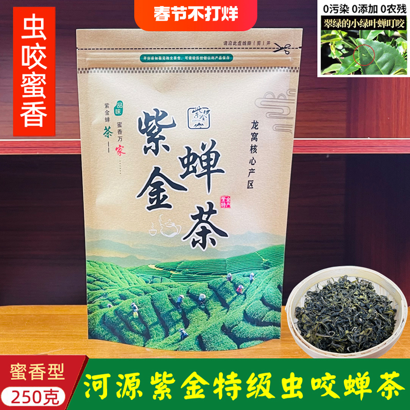 正宗紫金蝉茶浓香型250g特级虫咬茶蜜味广东河源紫金禅茶龙窝绿茶