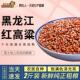 东北去皮红高粱2斤农民自种粗粮饭五谷杂粮高粱红高粱