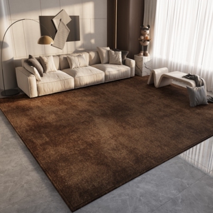 简约地毯客厅沙发茶几毯轻奢高级新款卧室床边毯防水棕色地垫满铺