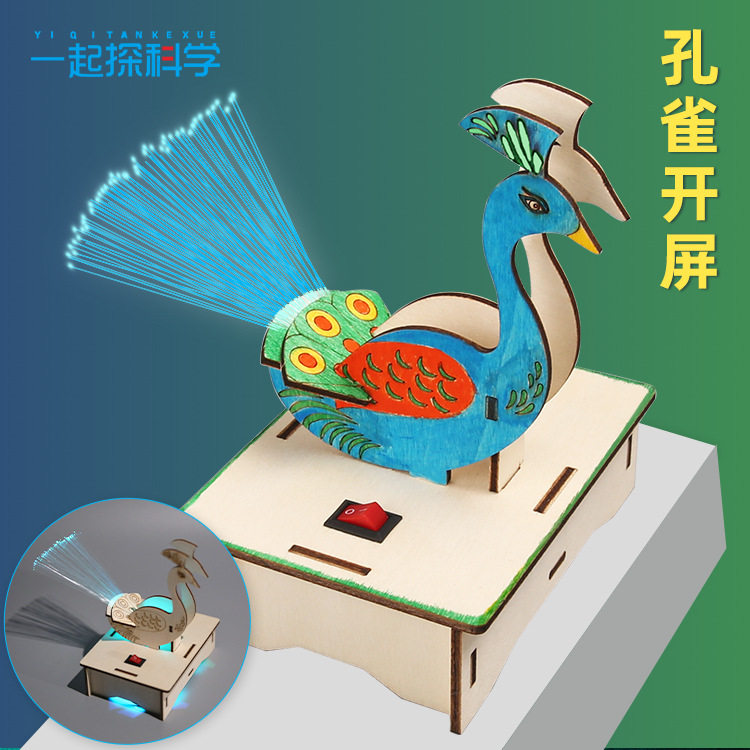 薄利多销科技小作品小自制手工材