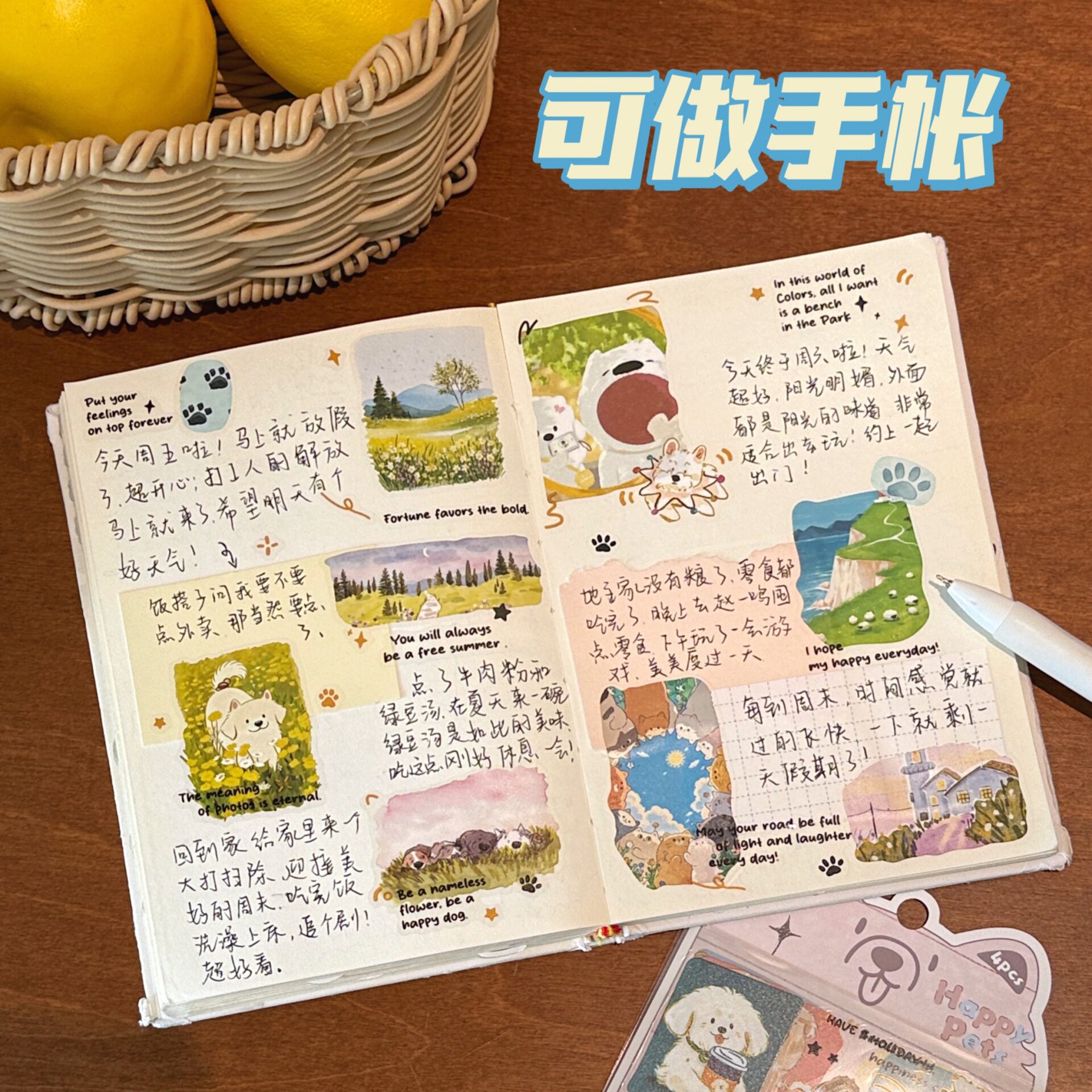 特价纸包欢乐萌宠系列手帐贴纸新