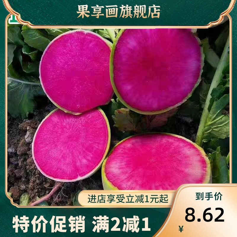 山东心里美新鲜水果萝卜生吃现拔现发绿皮红心满堂红萝卜胭脂蔬菜