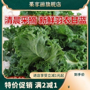 羽衣甘蓝新鲜蔬菜Kale1000g芥蓝西餐沙拉榨汁粗纤维 大兜虫生鲜