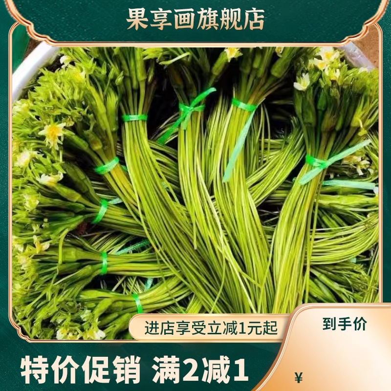 水性杨花云南特产海菜花泸沽湖丽江海菜云南野菜大理特产洱海