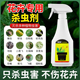 花卉植物杀虫剂多肉月季 杀虫药蚜虫蚧壳虫小黑飞红蜘蛛家用百虫杀