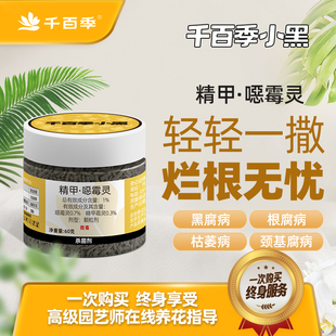 千百季小黑噁霉灵花卉月季多肉枯萎立枯病噁土壤消毒剂农药杀菌剂