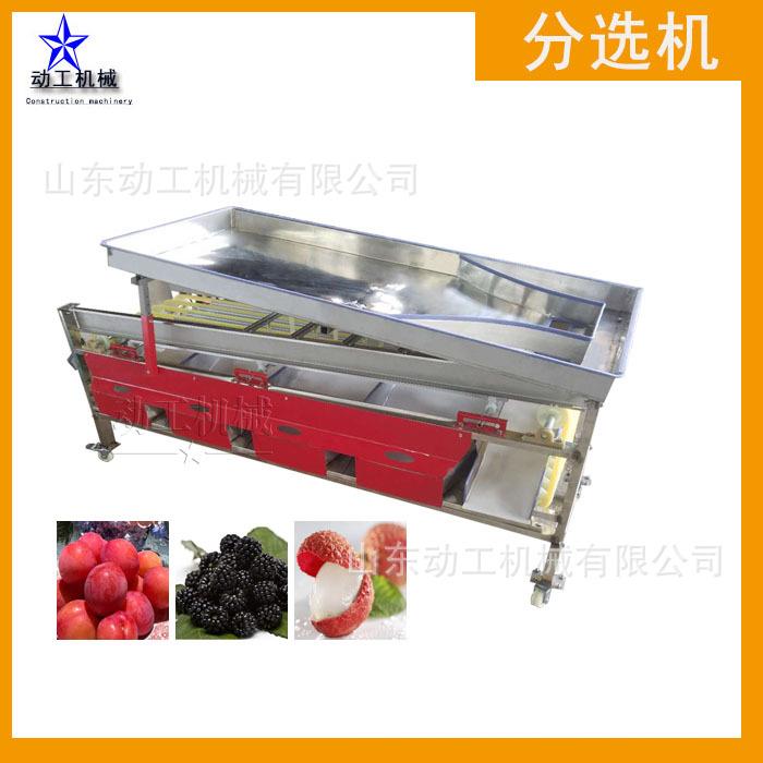 商吊杆疆杏分选机 新大枣灰枣选果机 轨道式金桔用分山竹OWB选机