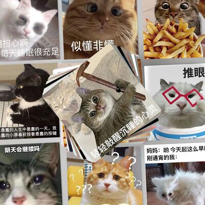 124张猫咪meme图表情包贴纸沙雕搞笑创意手账手机壳装饰防水贴画