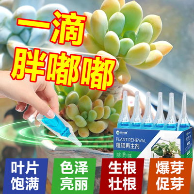多肉营养液花肥料肉肉植物家用专用肥优芽素增色免稀释土壤活化剂