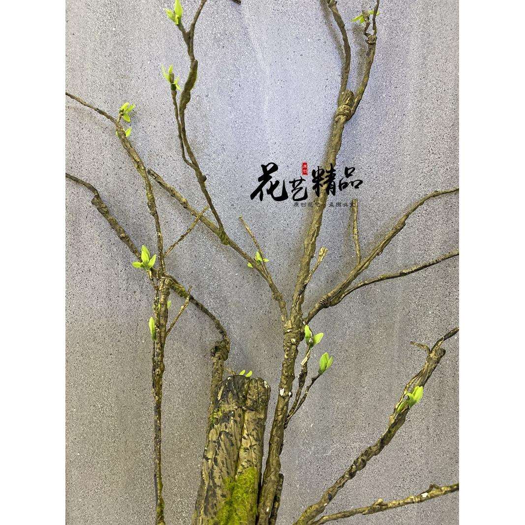仿真树枝树干假树根造景插花陈列枯树枝单只/束嫩芽小绢花龙柳