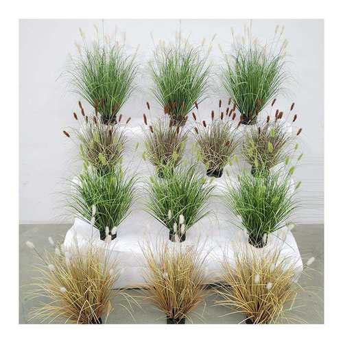 仿真狗尾巴草仿真植物盆栽草堆草团草丛仿真草蒲草造景兔尾巴草
