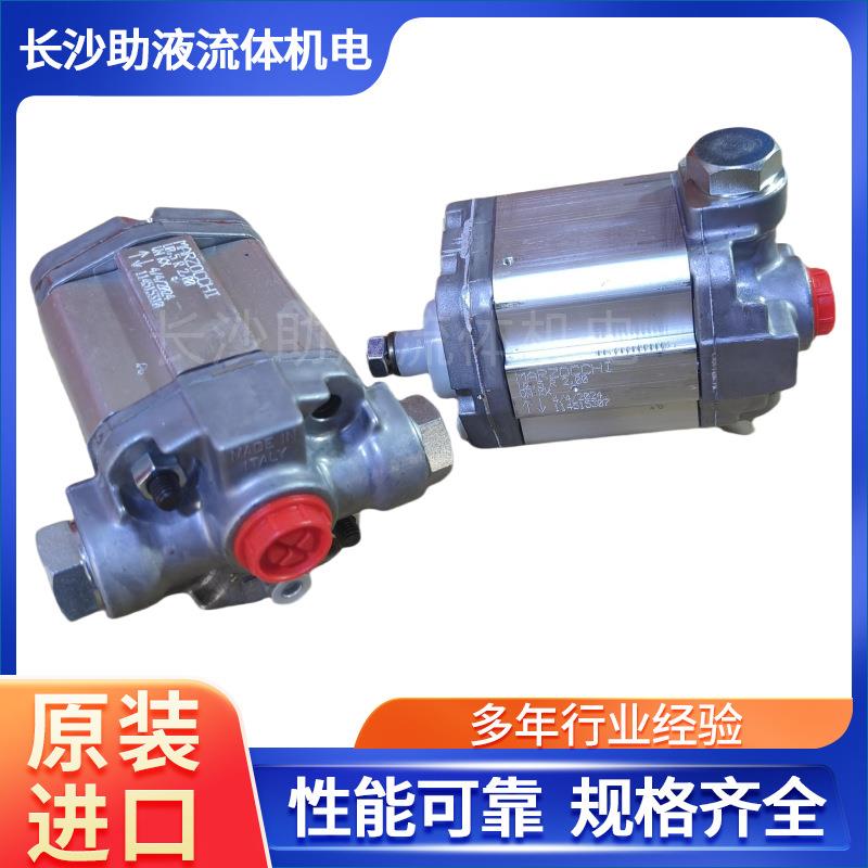马祖奇Marzocchi风电行业用微型动力单元齿轮泵双向泵0.25R48KX