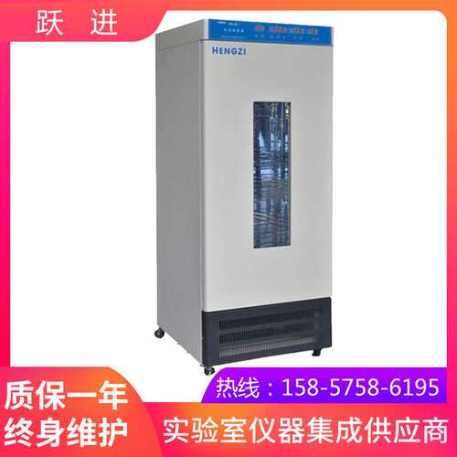 上海跃进HPX-III-250生化培养箱（可编程液晶屏显示微型打印机）