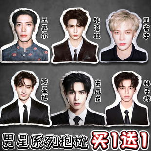 明星周边抱枕张凌赫宋威龙王嘉尔陈星旭王安宇创意异形抱枕礼物女