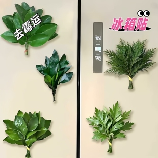 柚子叶去霉运磁吸冰箱贴转运幸运亚克力创意小众家居冰箱装饰贴