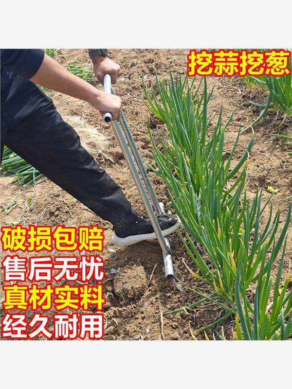 锰钢挖蒜挖葱挖薯工具