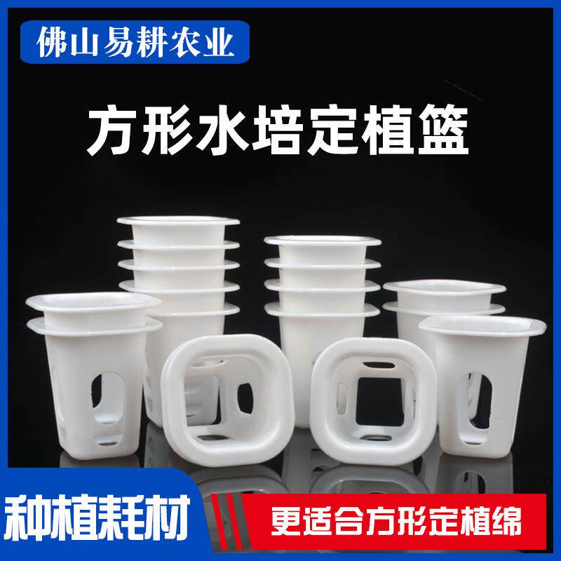 无土栽培蔬菜定植篮水培蔬菜方形定植篮水耕菱形孔塑料篮子配件