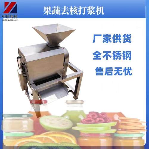 水果挤压磨浆机不锈钢橙子菠萝蜜去核打泥机大型打浆设备