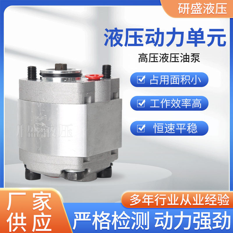 高压双向齿轮液压泵AP1001.2