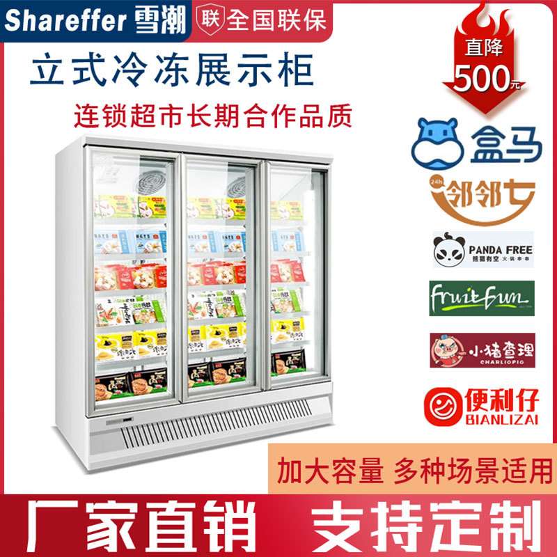 雪潮立式冷冻柜商用大容量水果蔬菜冷藏保鲜冰柜冷冻展示陈列冷柜