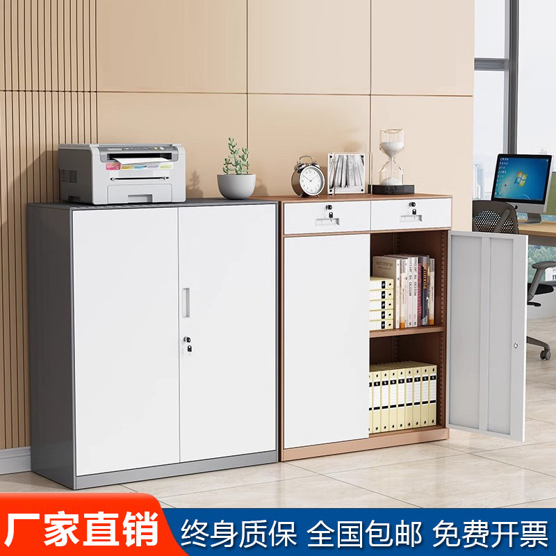 办公室铁皮文件柜带锁矮柜落地档案收纳柜对开资料柜钢制储物柜子