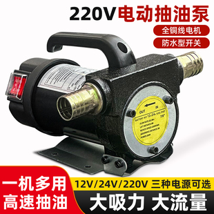 岳立220v正反转大流量高速油泵纯铜电机控油能效长寿命电动抽油泵