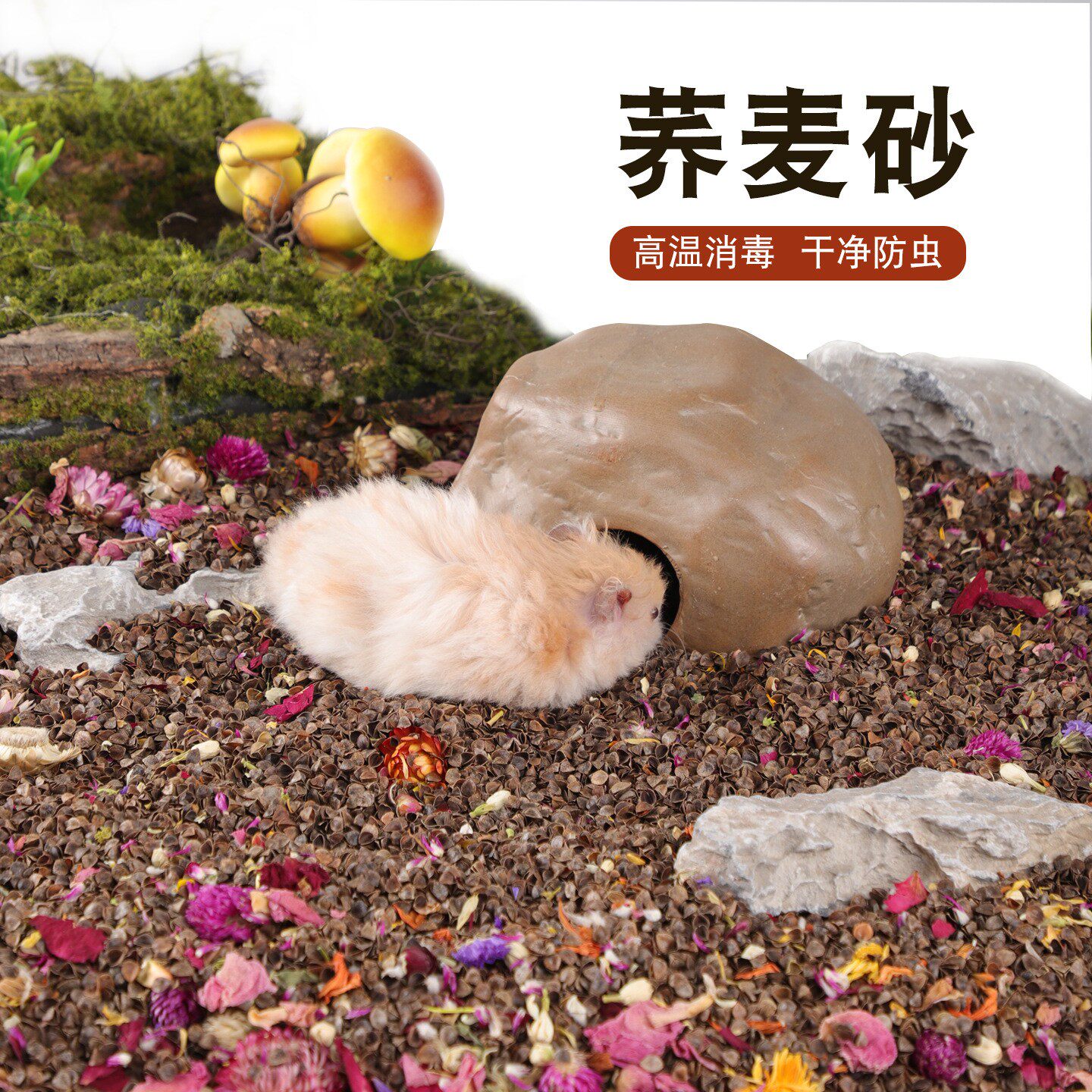 仓鼠垫料水洗荞麦砂荞麦壳消毒除臭四季通用金丝熊热天刨花核桃砂